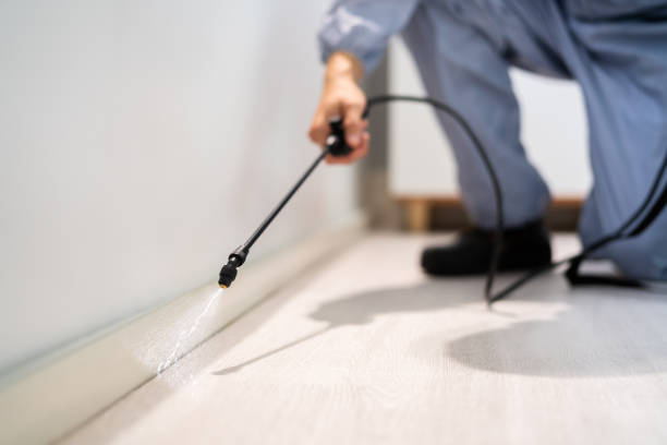 Rodent Entry Point Assessment in Washington